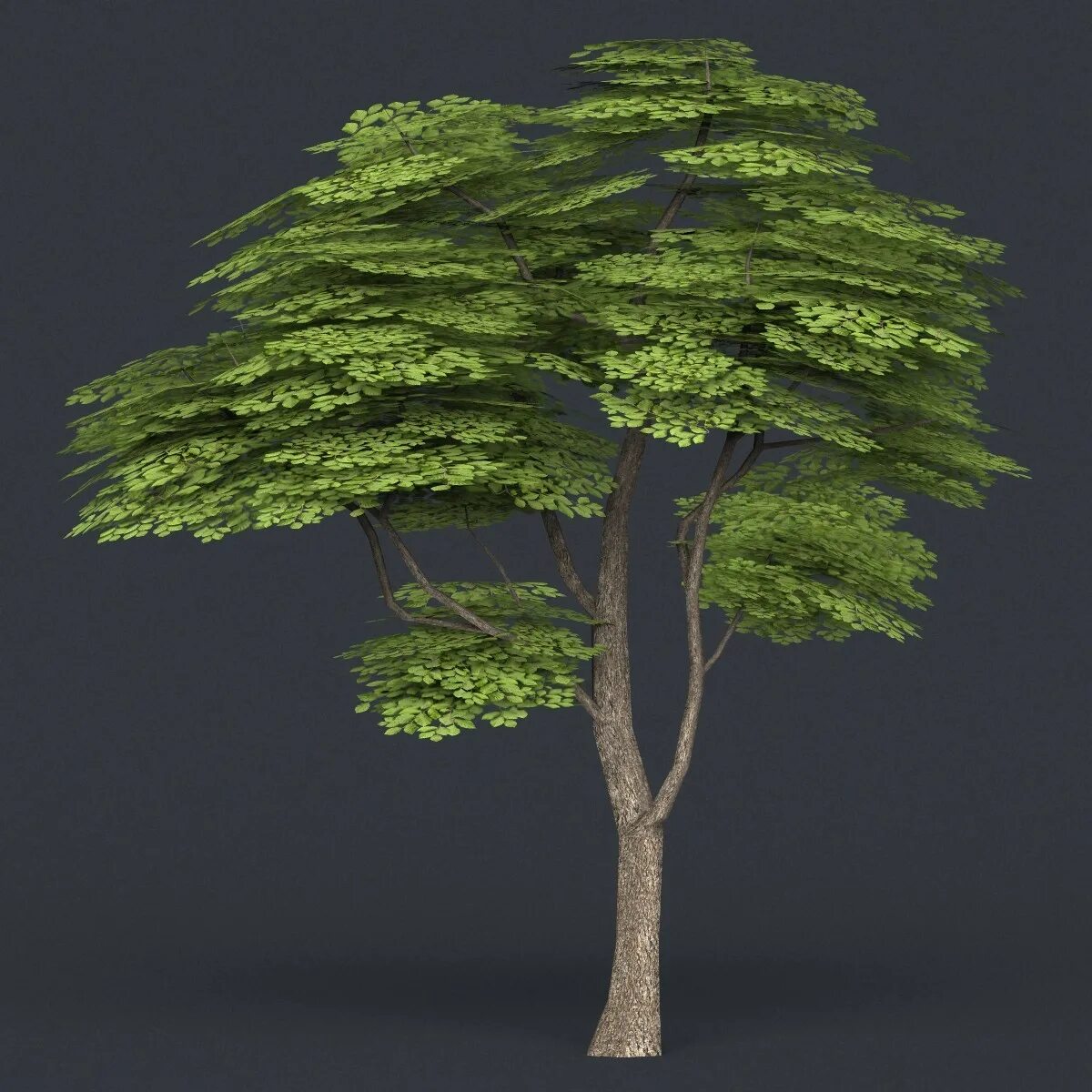 Tree 3ds Max. Лоу Поли дерево. Деревья Лоу Поли 3д. Лоу Поли реалистичное дерево. Дерево в 3 d