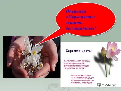 Берегите цветы