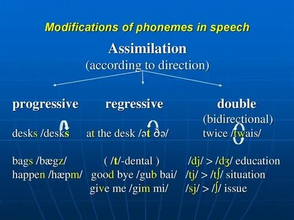 Assimilation in english phonetics