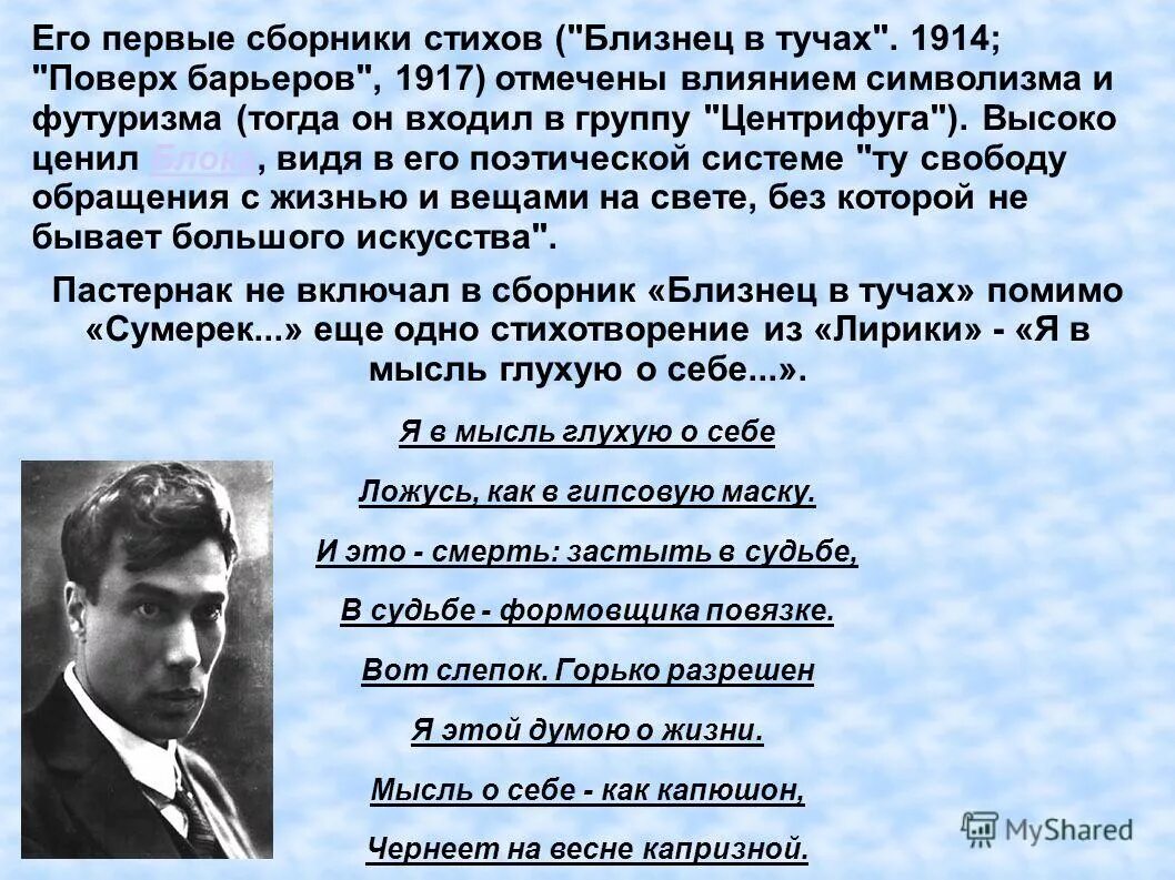 Идея стихотворения близнецы