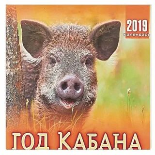2025 год для кабана женщины