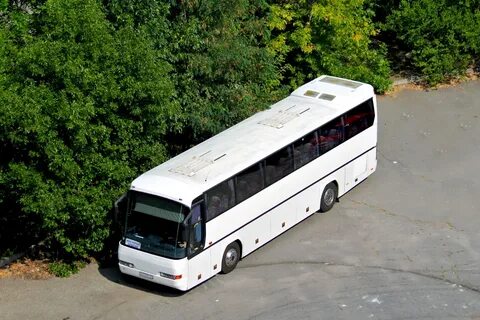 N316 2 d