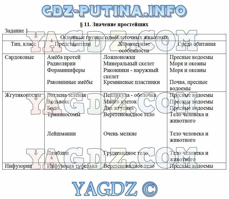 Значение простейших 7 класс таблица. Значение простейших биология 7 класс. Значение простейших биология 7 класс таблица. Значение простейших таблица. Биология 7 класс основные темы