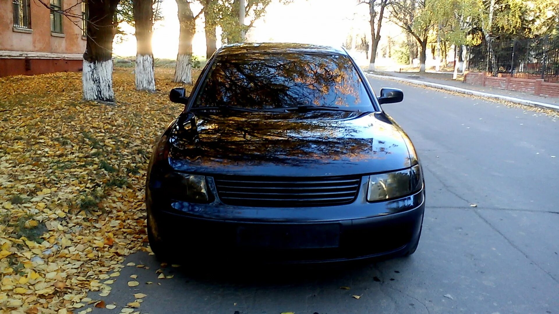 Volkswagen Passat 1996-2005: Пярэдняя папярочная панэль (Кузаў / Экстэр'ер (вонк