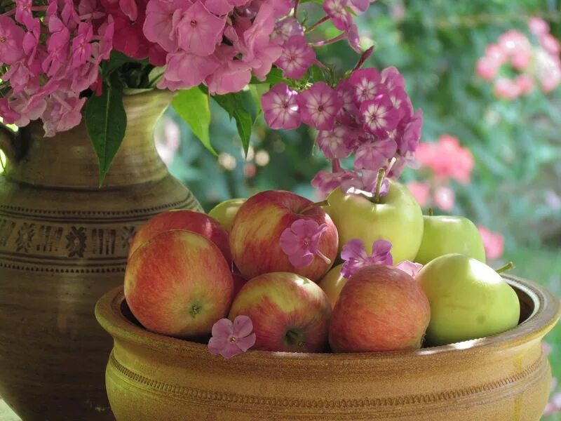Натюрморт с яблоками. Красивое яблоко. Яблоки сад натюрморт. Цветы и яблоко.