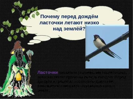 Низко летит к дождю