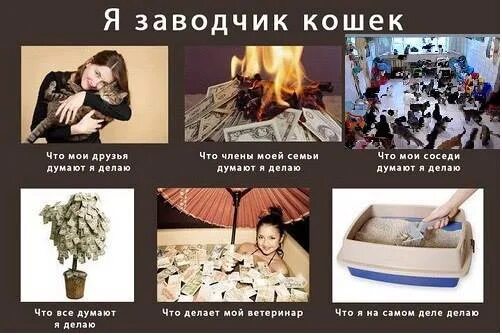 Заводчик слова. Заводчик слова. Заводчик слова. Заводчик собак. Заводчик собак.