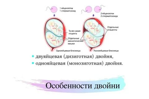 Дискордантность плодов