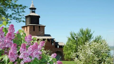 Сад нижегородская область