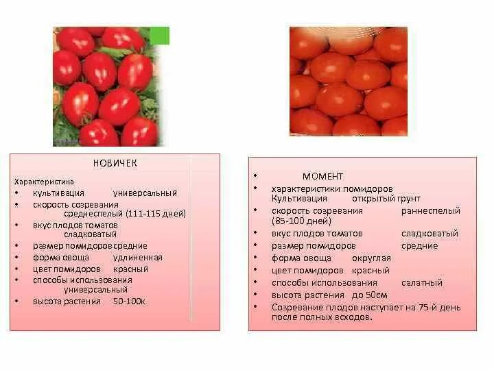 Free Images : fruit, food, red, produce, vegetable, vegetables, tomatoes, flower