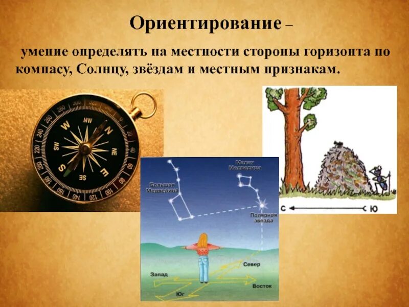 Ориентирование наместностт. Ориентир по местности. Ориентация на местности. Ориентирование на местности стороны горизонта. Определения местоположения на местности