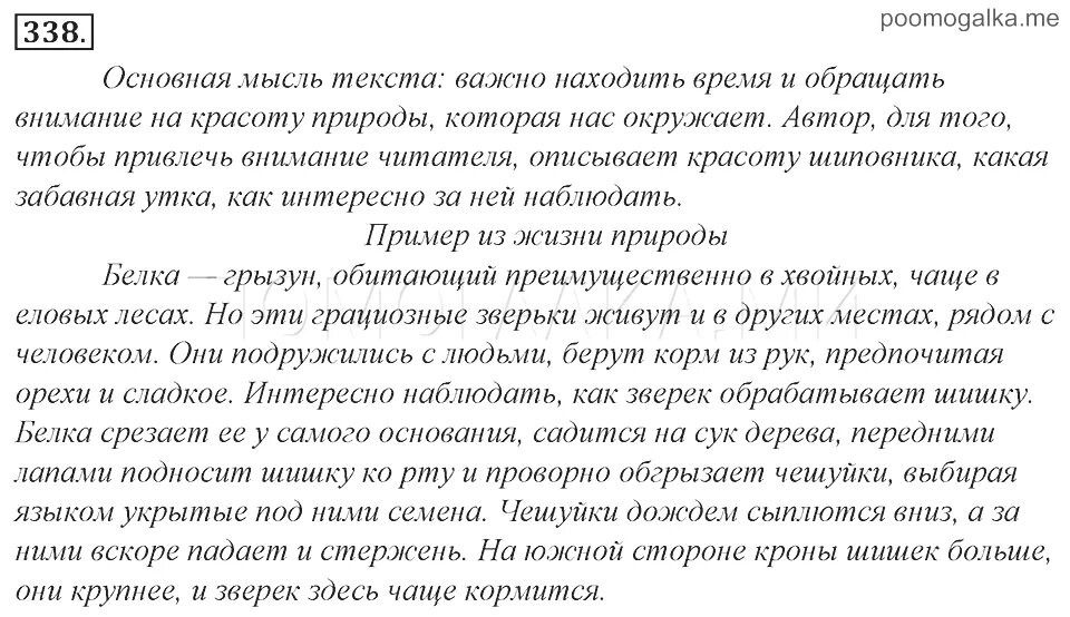Русский 8 класс 73. Русский язык 8 класс ладыженская упражнение 165. сочинение 8 класс по русскому языку. русский язык 8 класс упражнение 338. сочинение 8 класс.
