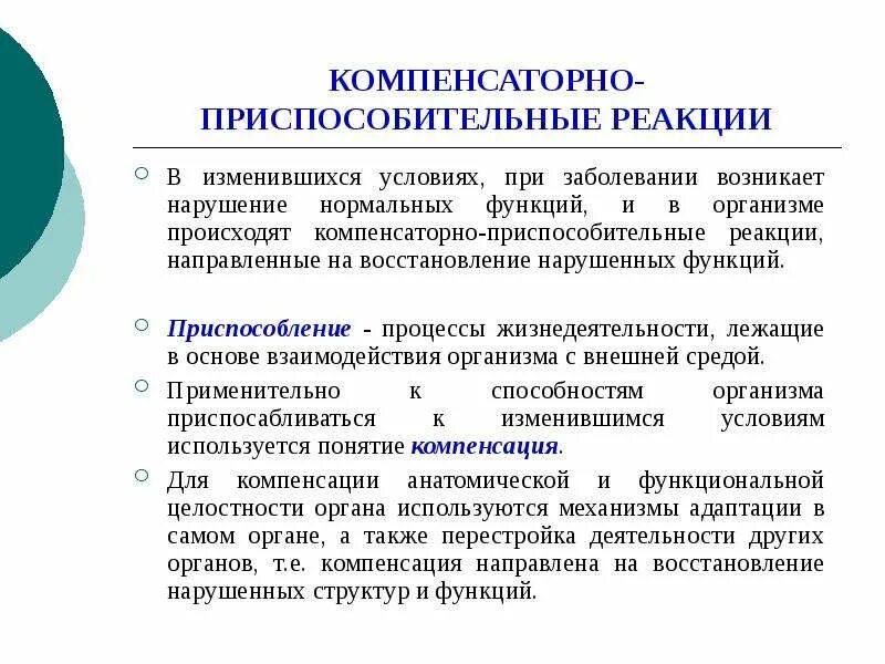 Функция восстановления организма