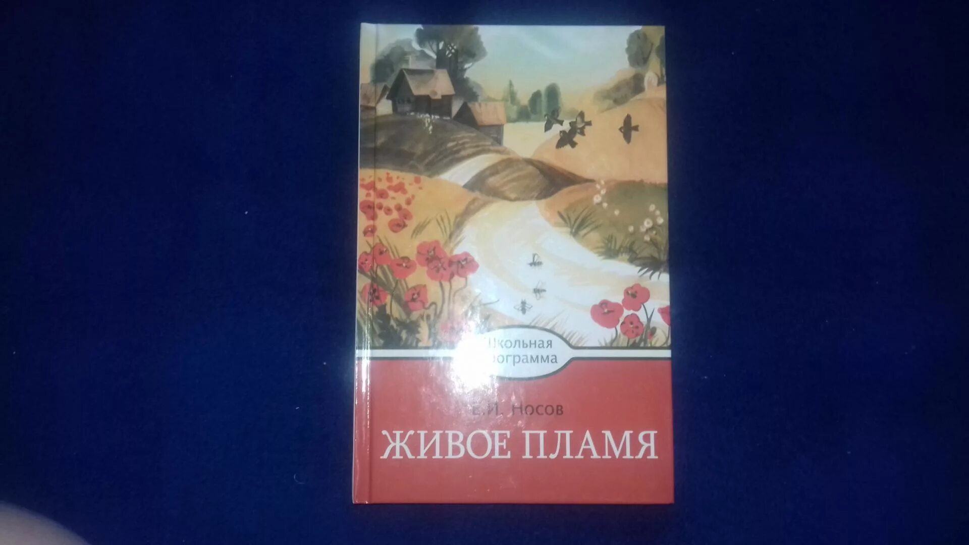 Носов живое пламя проблема. Иллюстрация к рассказу живое пламя Носова. Живое пламя Носов книга.