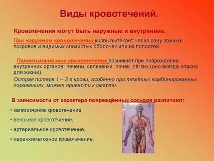 Кровотечение обж 8 класс