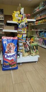 Зоомир тверь