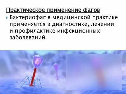 Использование бактериофагов в медицине