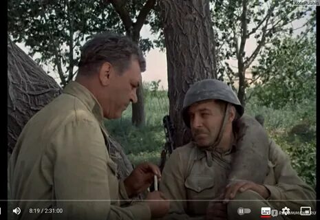 Если любовь к родине хранится