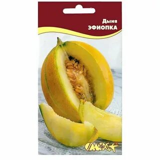 Дыня эфиопка описание отзывы