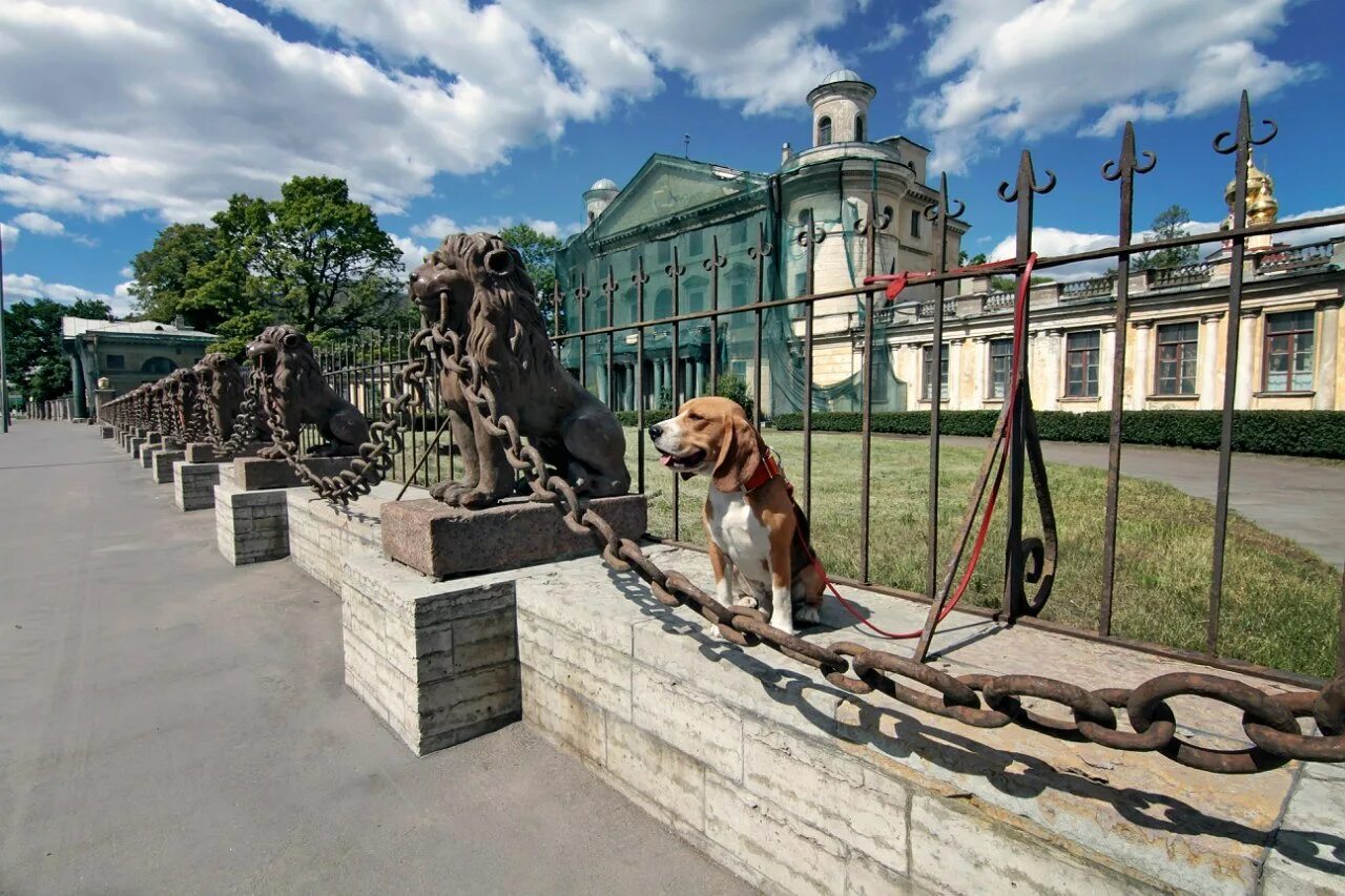 Собак спб отзывы. СПБ дача Безбородко на Свердловской набережной. Дача Кушелева-Безбородко в Петербурге львы. Собаки Петербурга. Звери Санкт Петербург.