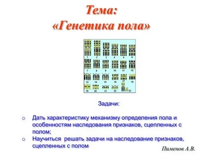 Генетический пол