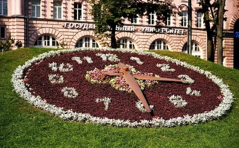 Александровский цветок