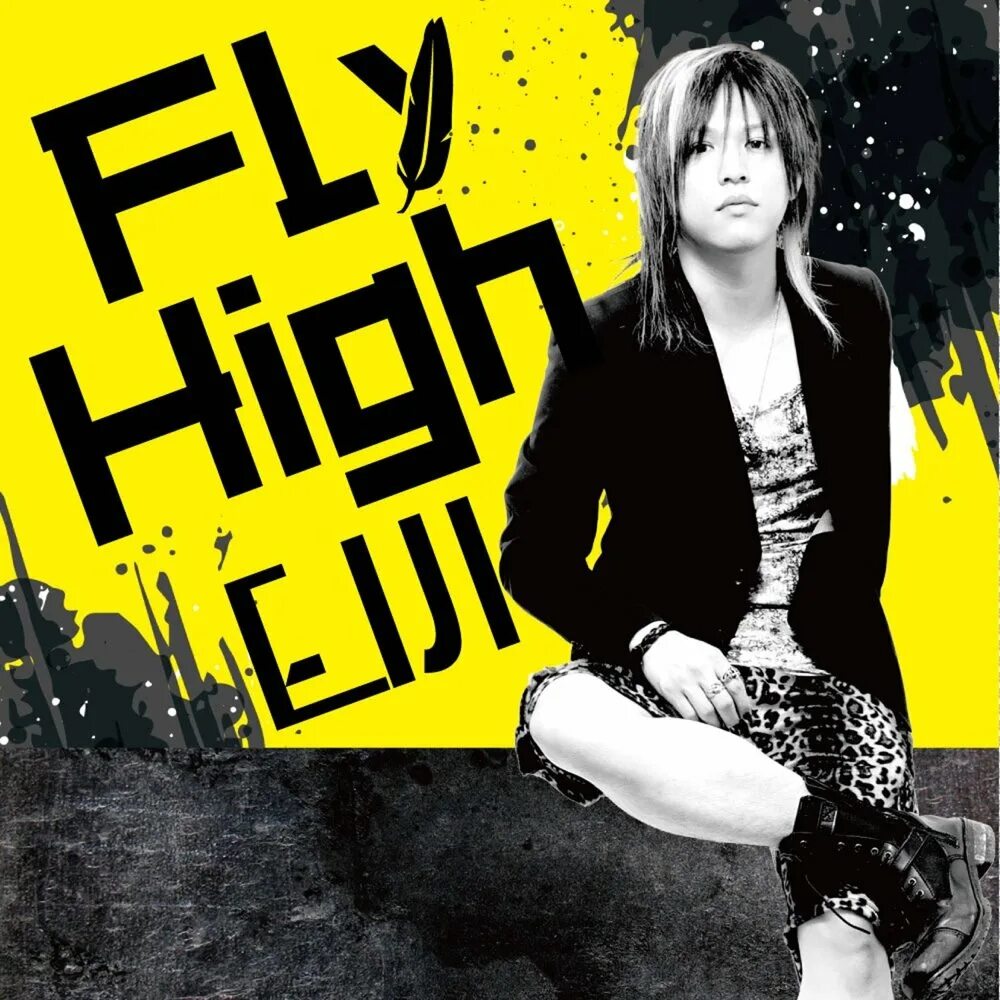 We fly high. Fly High. Fly High books. Fly High Band. Fly so High Singer.