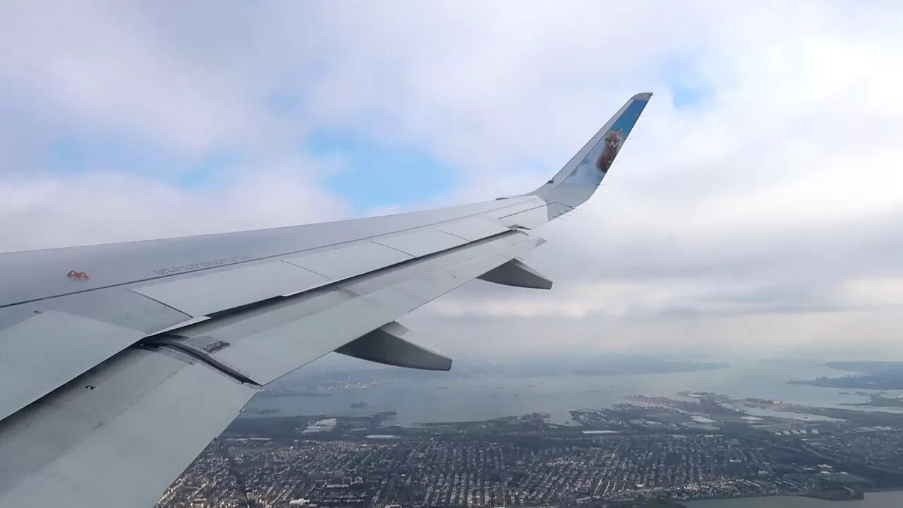 Места у крыла. Места у крыла аэрбас 320. а 320 нео места у крыла. а 320 нео крыло.