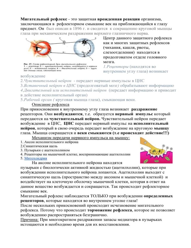 Мигательный рефлекс лабораторная работа. Схема рефлекторной дуги мигательного рефлекса. Рефлекторная дуга мигательного рефлекса. Условия возникновения мигательного рефлекса.