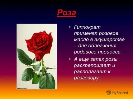 Что значит имя хоть розой назови