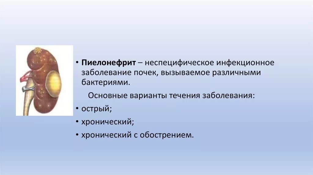 Что может привести к инфекционному заболеванию почек. Инфекционные болезни почек. Пиелонефрит презентация. Инфекционные заболевания почек.