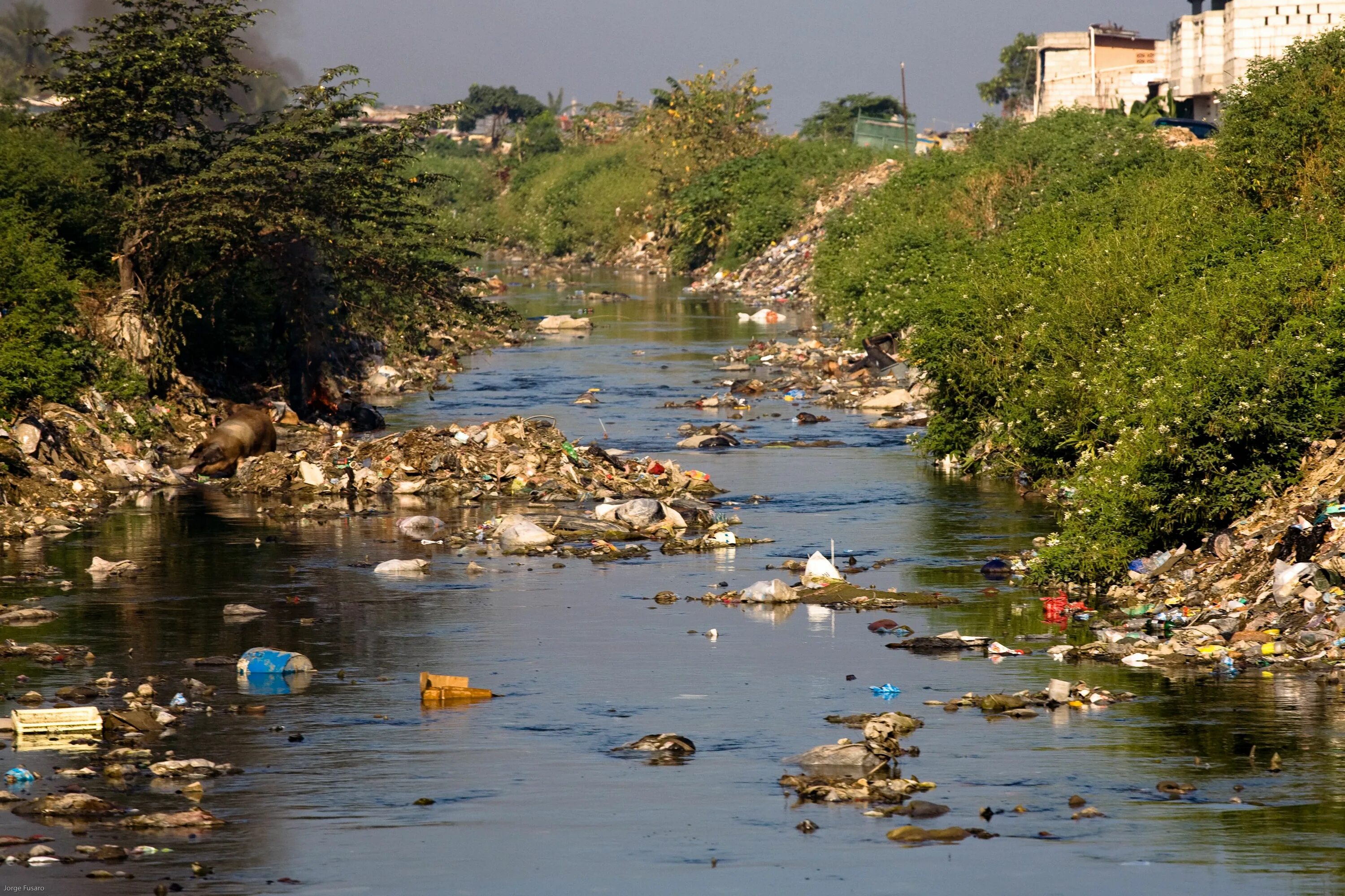 Pollution pictures. Загрязнение воды. Загрязнение пресных вод. Загрязнённая река. Загрязнение рек.