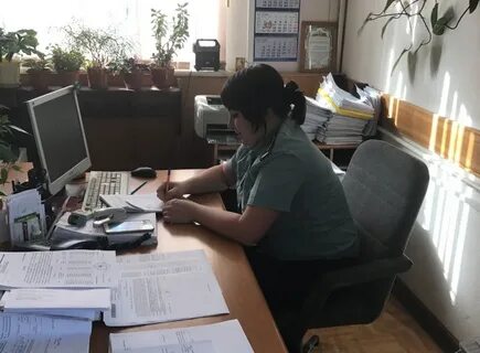 Приставы ногинск