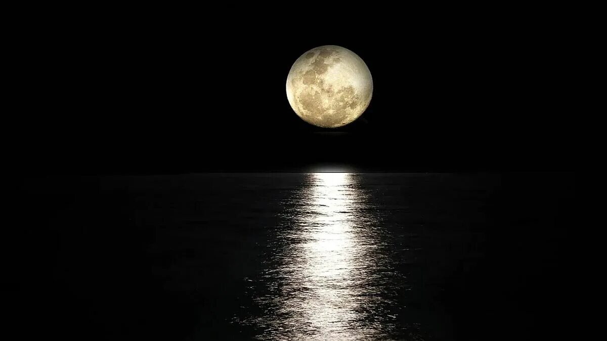 Luna net