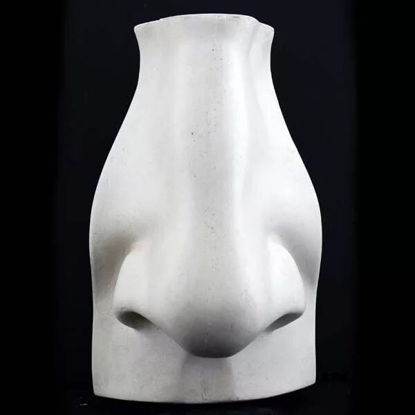 Нос скульптура. Статуэтка нос. Статуя с носом. Фигура на носу. Plaster casting