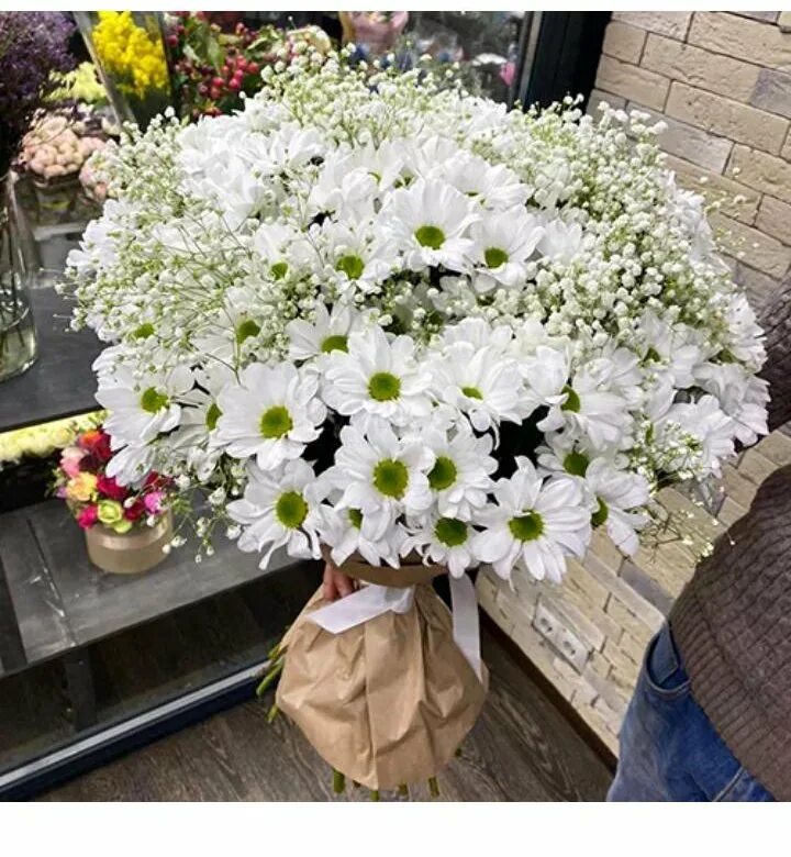 букет из гипсофила и ромашек. хризантема белая и гипсофилы. букет хризантем с гипсофилой. гипсофила и хризантема букет. гипсофила и хризантема букет.