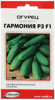 Сорт огурца гармония