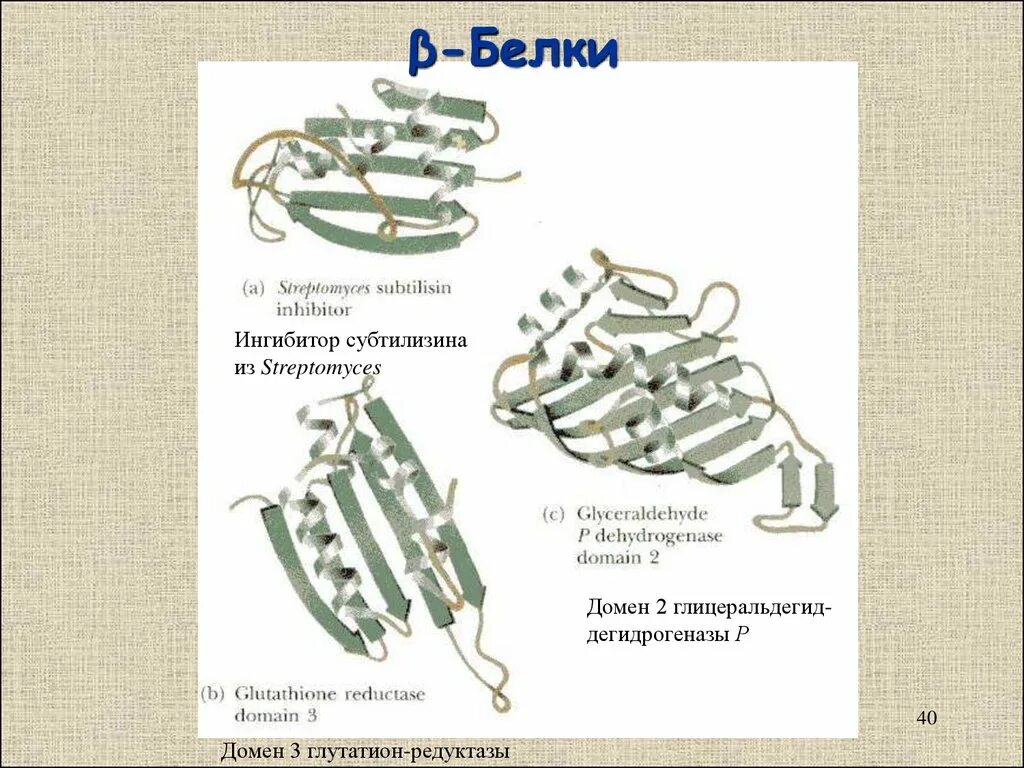 Белки ингибиторы. Белки ингибиторы примеры. Первые белковые комплексы это. Белки ингибиторы определение. Первые белковые