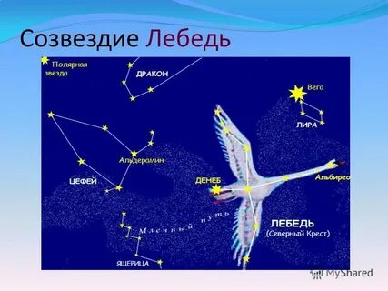 Самая яркая звезда окружающий мир 3 класс