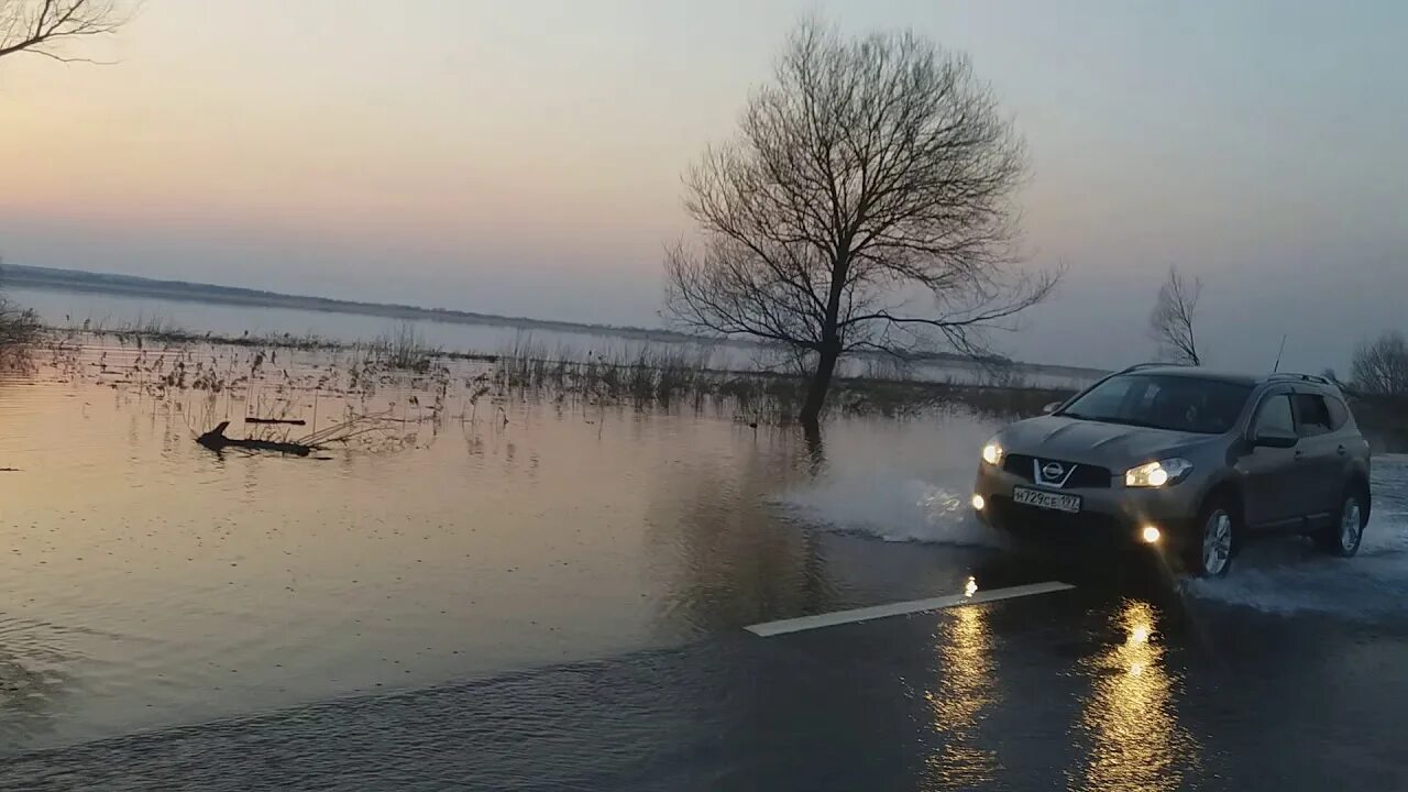 Уровень воды в оке в луховицах сегодня. Муром разлив Оки. Разлив реки Дединово. Дединово разлив Оки. Разлив Оки в Рязани 2023.