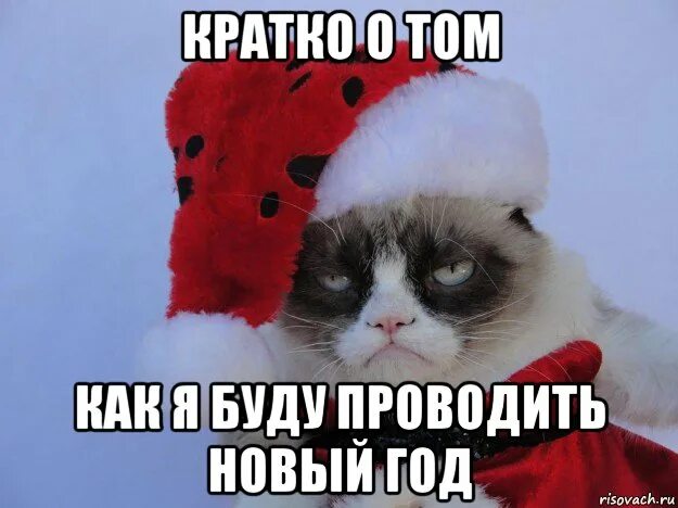 Мемы приколы. Как я провожу новый год. Нового года не будет. Рассказ как провожу новый год. Как я провел новый год.