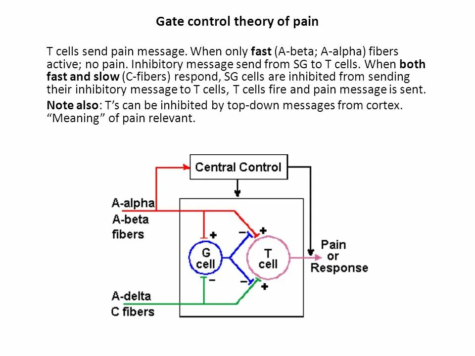 Control theory. Gate control theory of pain. dea gate controller. control theory blocks pi. sorting gate controller engs.