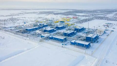 береговое месторождение новатэк