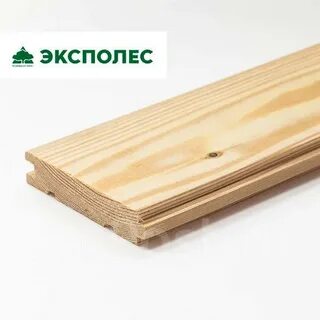 Эксполес