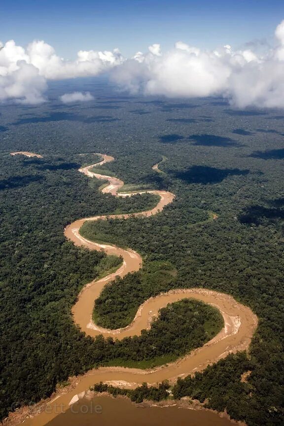 Южная америка река амазонка. Амазонка это река южной америки. Амазонка река укаяли. Амазонская низменность бразилия. Амазонка это река южной америки.