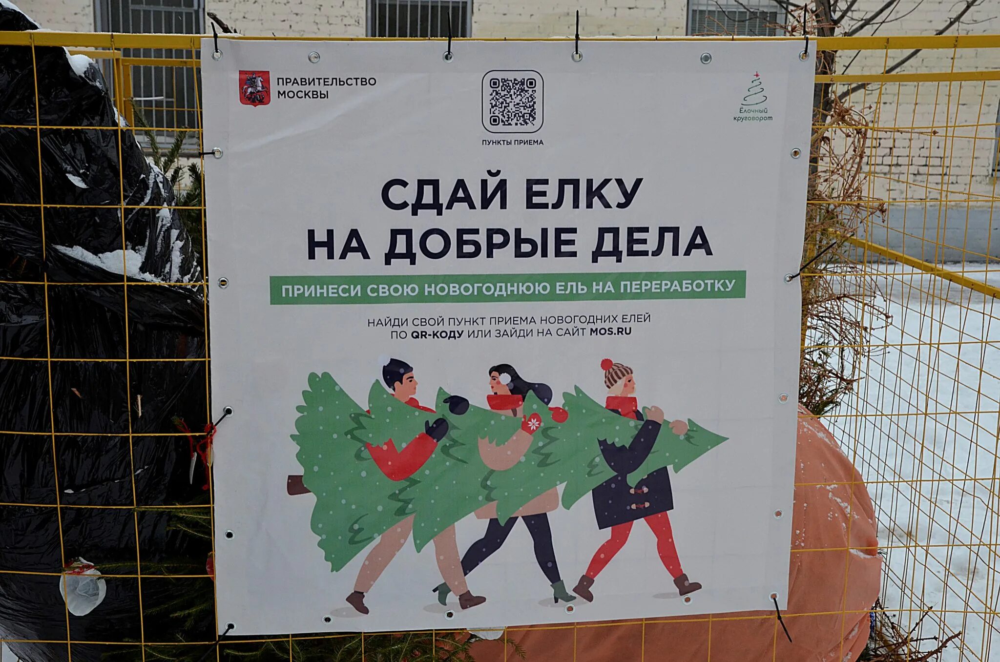 Как подготовить елку к утилизации. Сдать елку на переработку. сдавать новогодние елки в переработку. пункт приема елей на переработку. утилизация новогодних елок в москве 2025.