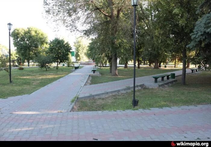Школа большая мартыновка ростовская область. Красный партизан ростовская область. Ботанический сад дендрарий краснодар. Парк косенко краснодар. Парки краснодар ботанический сад косенко.