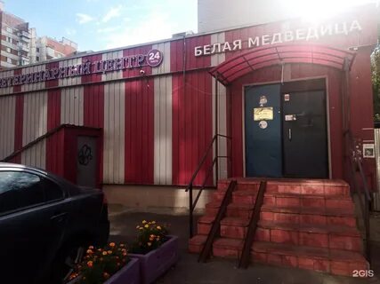 Ветеринарные арзамас