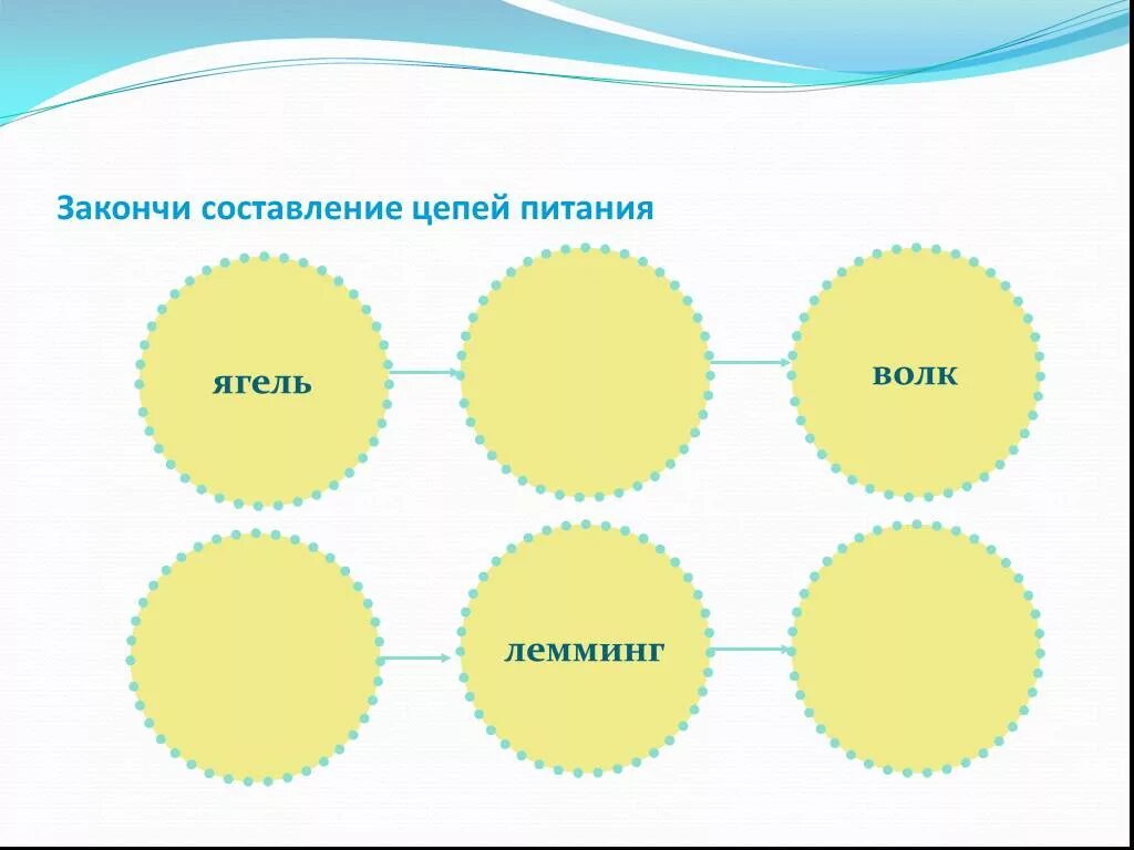 Составить пищевую цепь тундры. Цепи питания. Составление цепей питания. Цепь питания в тундре. Составьте цепь питания.