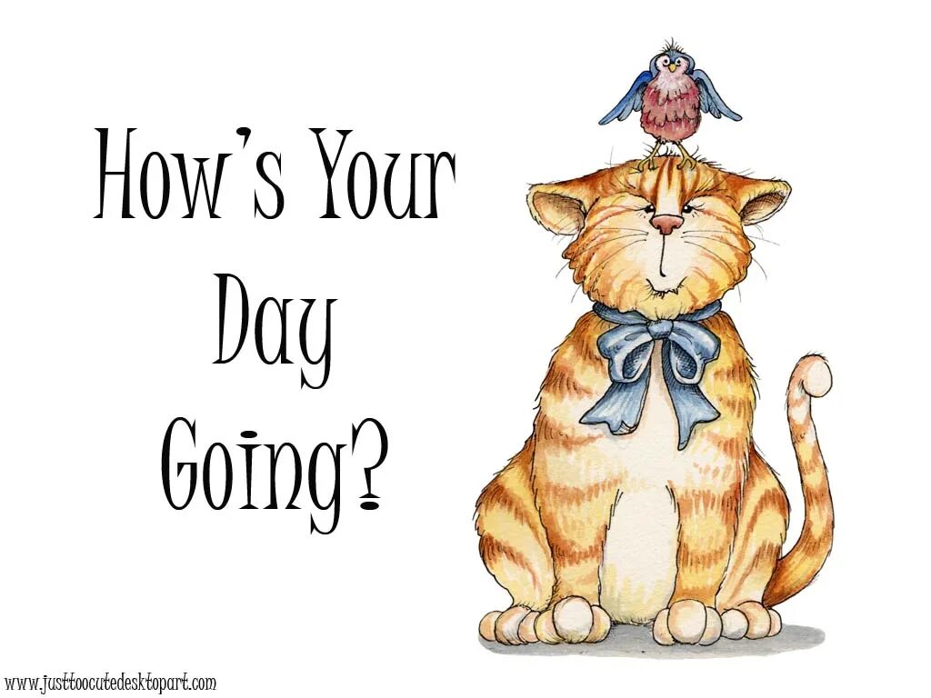 Как там твоя диета картинка. How is going. How is your life. How is it going картинка. Customer trust.